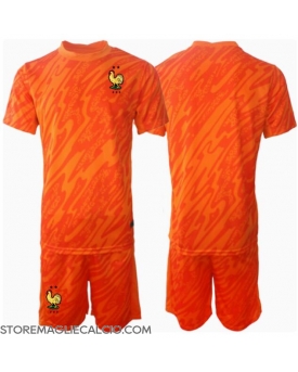 Francia Portiere Maglia Gara Trasferta Repliche Europei 2024 Bambino